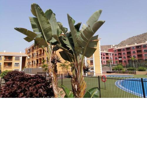 Beautiful apartment with pool in Palm Mar