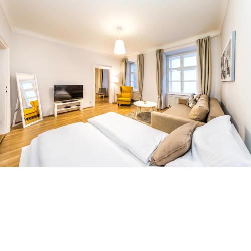 Beautiful City Apartment at famous Ballgasse (15)