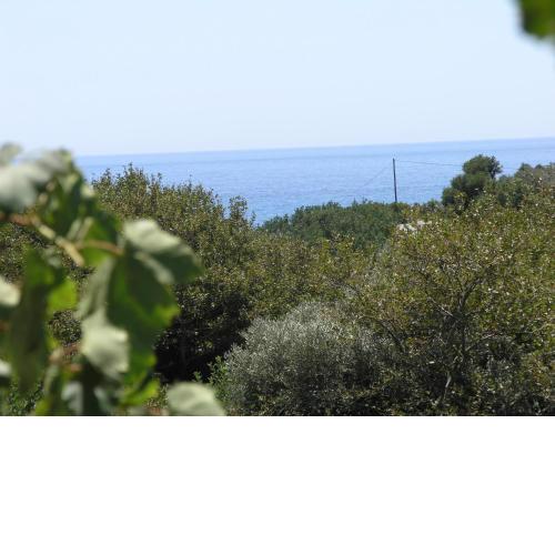 Beautiful Cottage in S West Crete near the sea