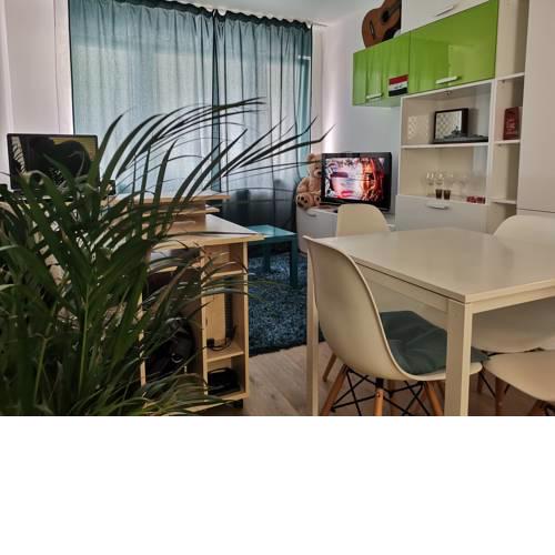 beautiful flat in the middle of Vienna