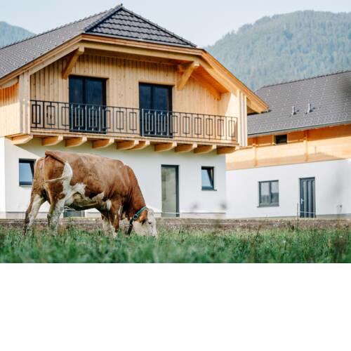 Beautiful Holiday Home in Rattendorf with Garden