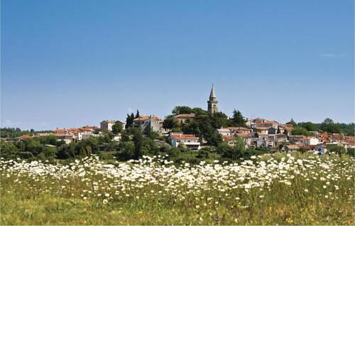 Beautiful home in Zminj w/ Outdoor swimming pool, WiFi and 4 Bedrooms