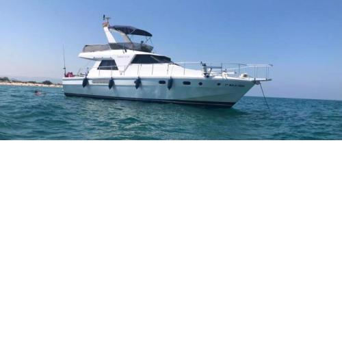 Beautiful Kiwi Boat