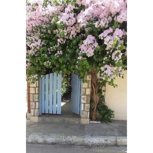 Beautiful summer house in Agia Efimia
