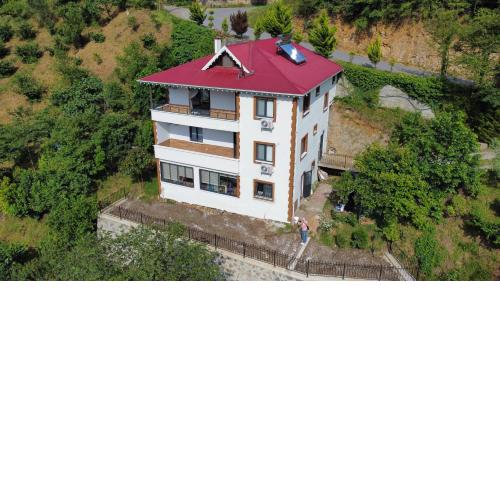 Beautiful Village House