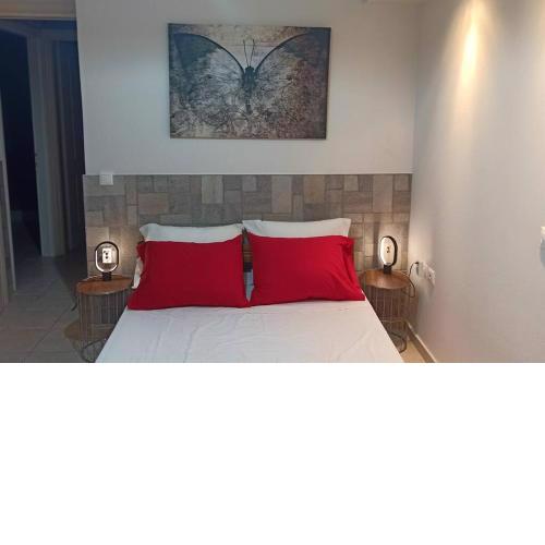 Bed and Garden