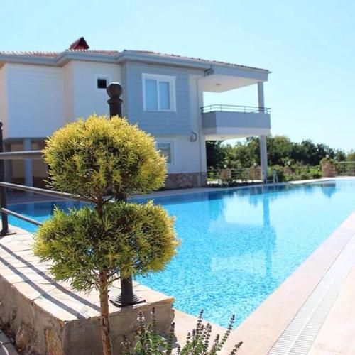 Begon Villa