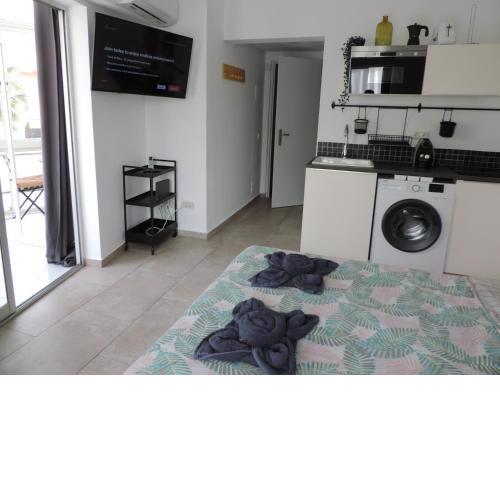 Begonia City Center Apartment 230