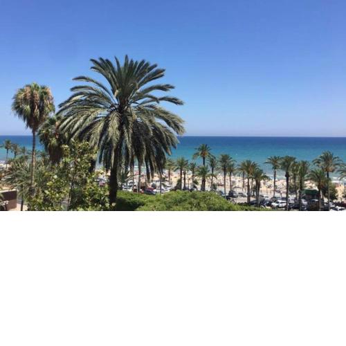 Bel Appartement Face A La Mer