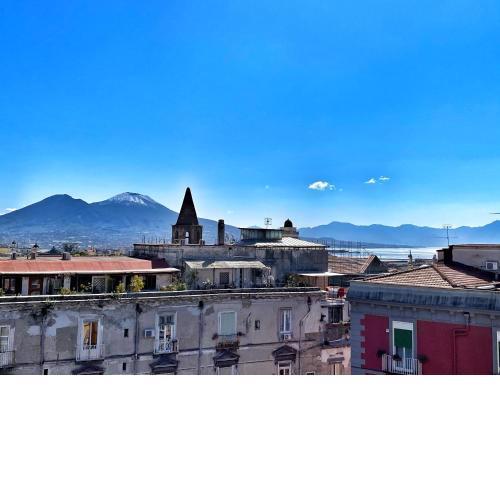 Bellini View