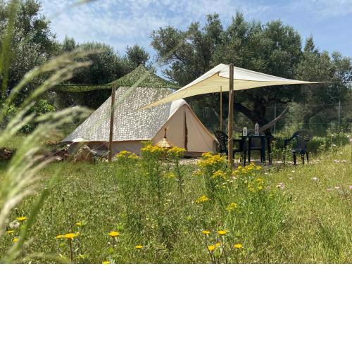 Bellissima Bell tent