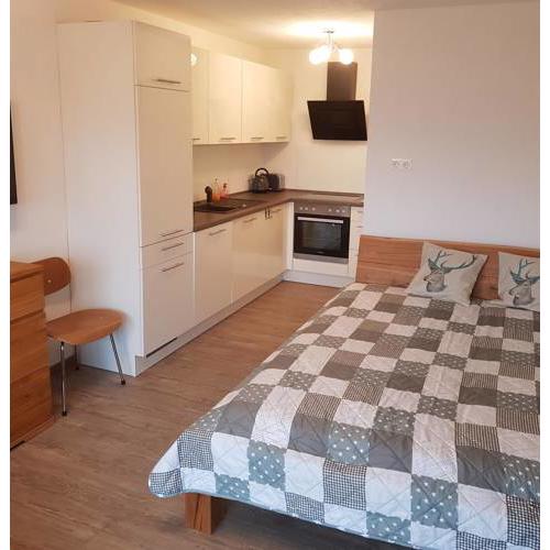 Berghof Appartement Top 22