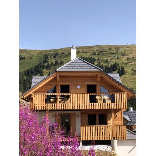 Berghütte Murmele