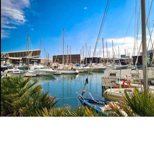 Best Barcelona boat experience