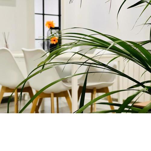 BEST FLAT NEAR REAL MADRID STADIUM