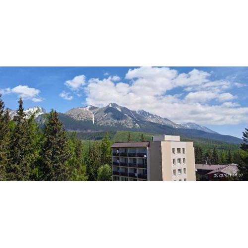 BEST MOUNTAIN VIEIW APARTMENT