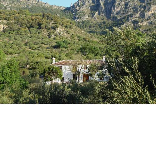 Betania