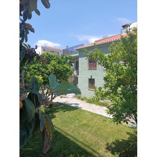 Betty's Garden House