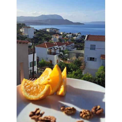 Bicorna - Chania
