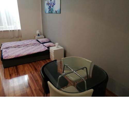 Big 2 bedroom apartment by river near center