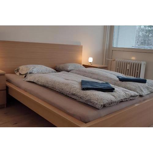Big and Sunny apartment with free parking street