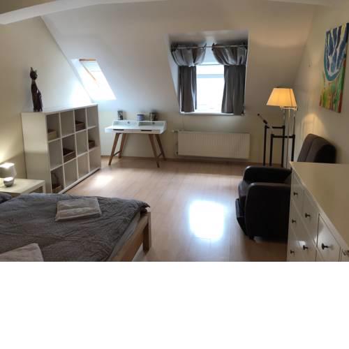 BIG LUXURY APARTMENT MAX 7 PERSON