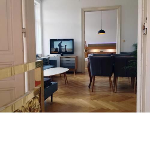 Big Vintage Style Flat Near Schönbrunn