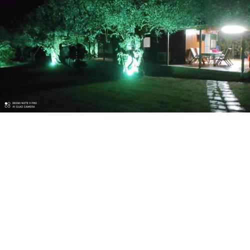 Bills house