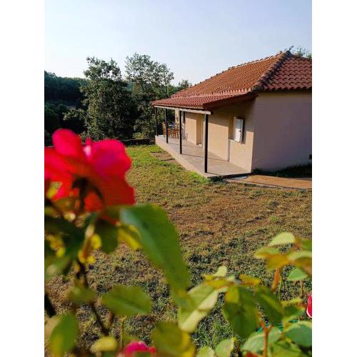 Billy's house