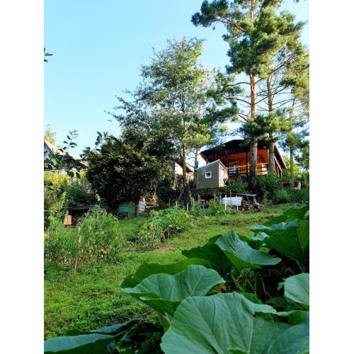 Birch cottage