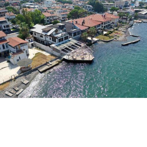 Black Lotus Hotel