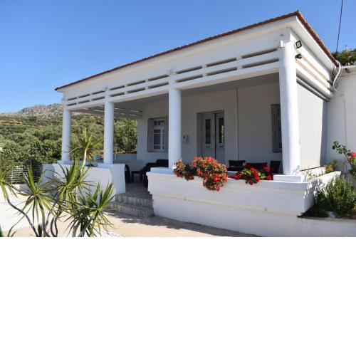 Bliss House