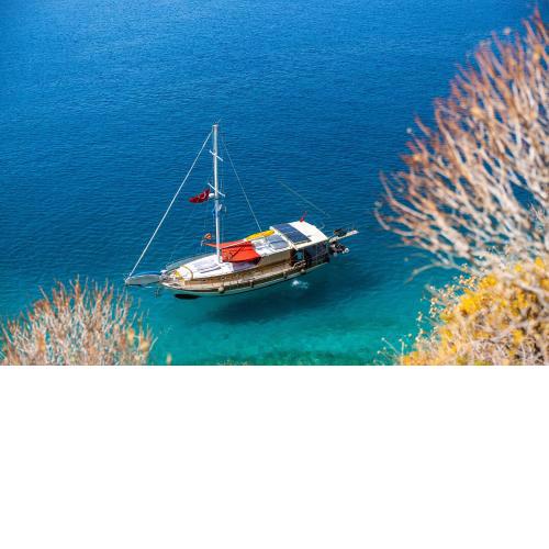 Blue Cruise