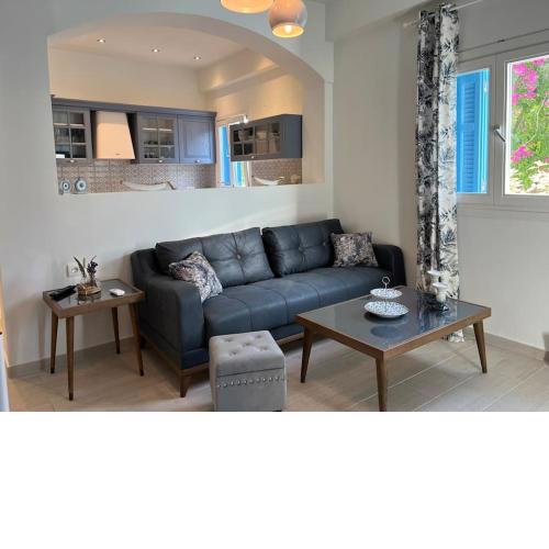 Blue Flower Apartment