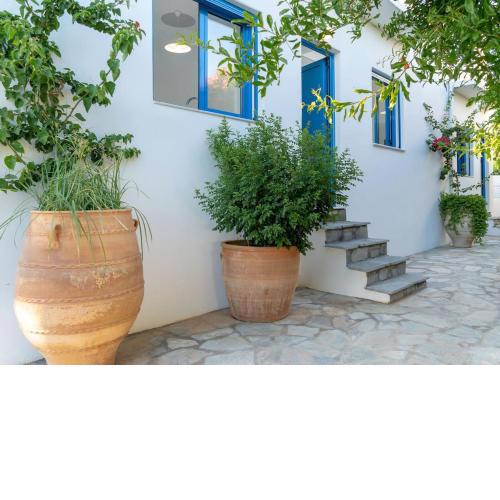 Blue Moon Apartments