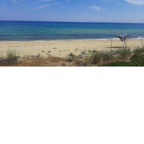 Blue sea