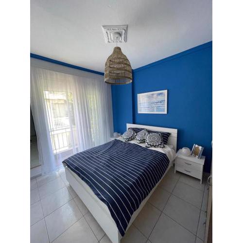 Blue Shell Apartment