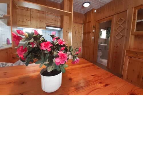 BLUTIGE ALM Appartement