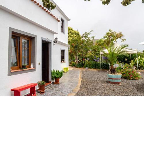 Bodega Goyo
