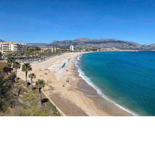 Bon Dia Albir