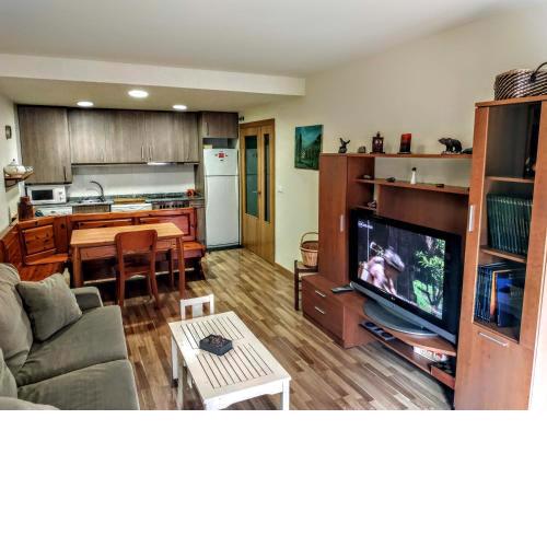 BONITO APARTAMENTO EN AINSA