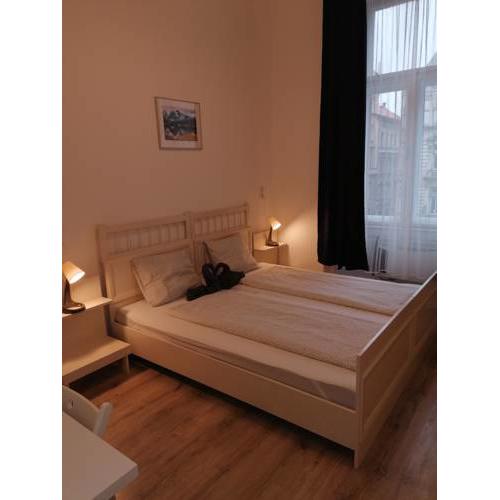 Bono Apartman