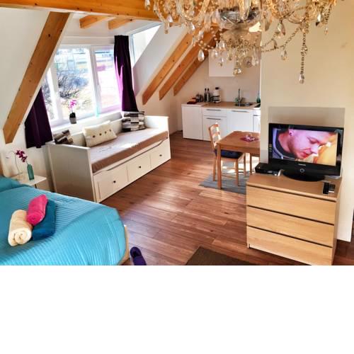 Book-A-Room City Apartment Salzburg