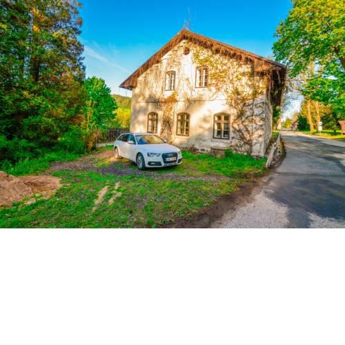 Borovnička