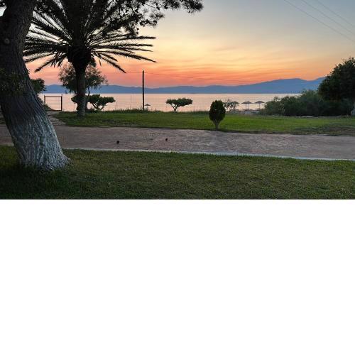 Bouros Seaview Farm