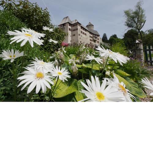 Boutique Hotel Schloss Matzen