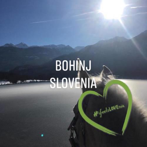 Boutique Ranch Bohinj