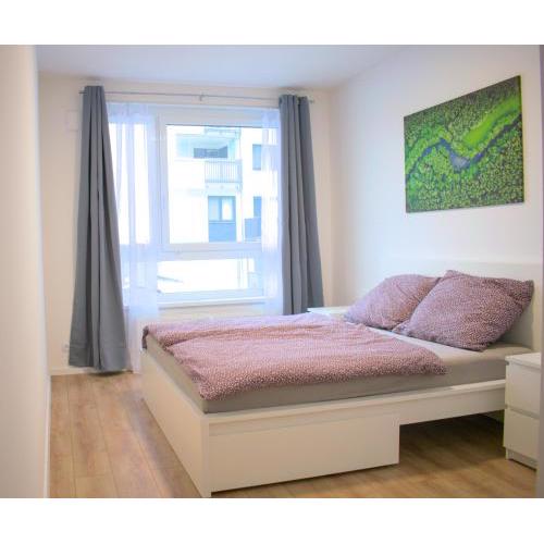 Brand new apartment by hockey stadium