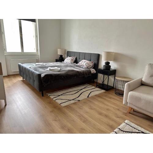 Brand new apartments and hostel in center