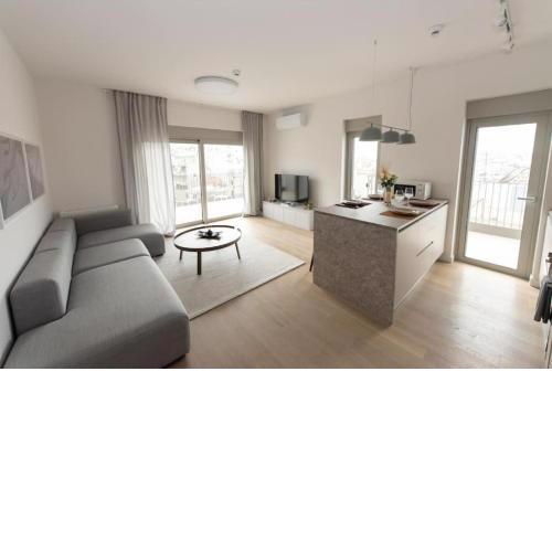 Brand-new flat with a city view (FORM_G1)